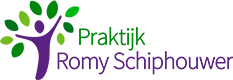 Boek - Praktijk Romy Schiphouwer